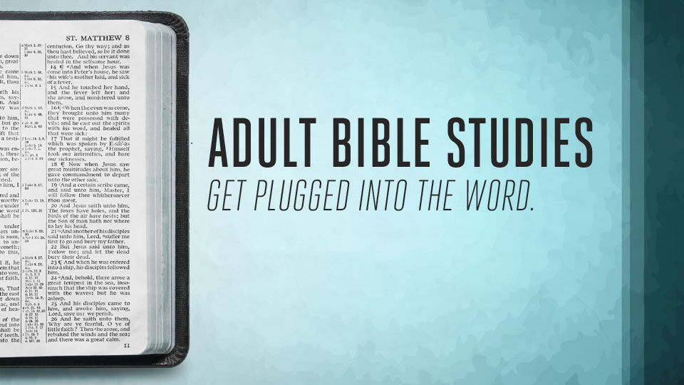 Adult Bible Studies 21