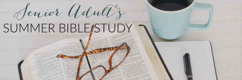 SrAdult bible study simple