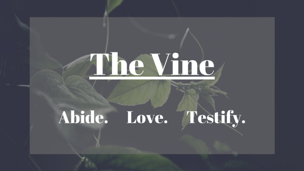 The Vine