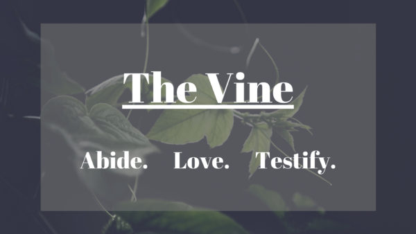 The Vine Image