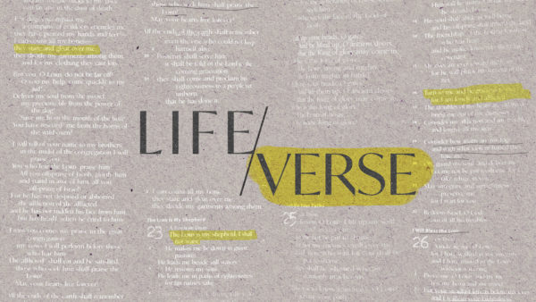 Life Verse - Colossians 3:2-3 Image